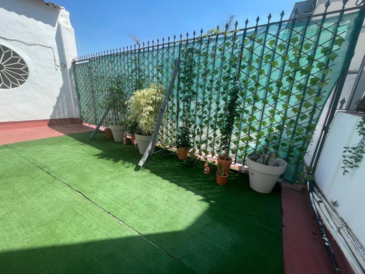 Atico Guadalquivir - Touristic Loft With Terrace Daire Sevilla Oda fotoğraf